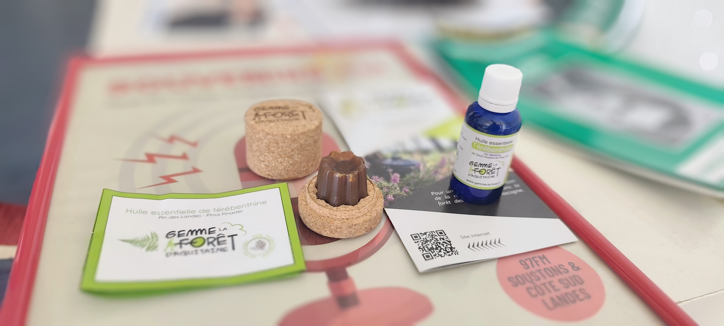 IMG_20260422_141111.jpg (524 KB)